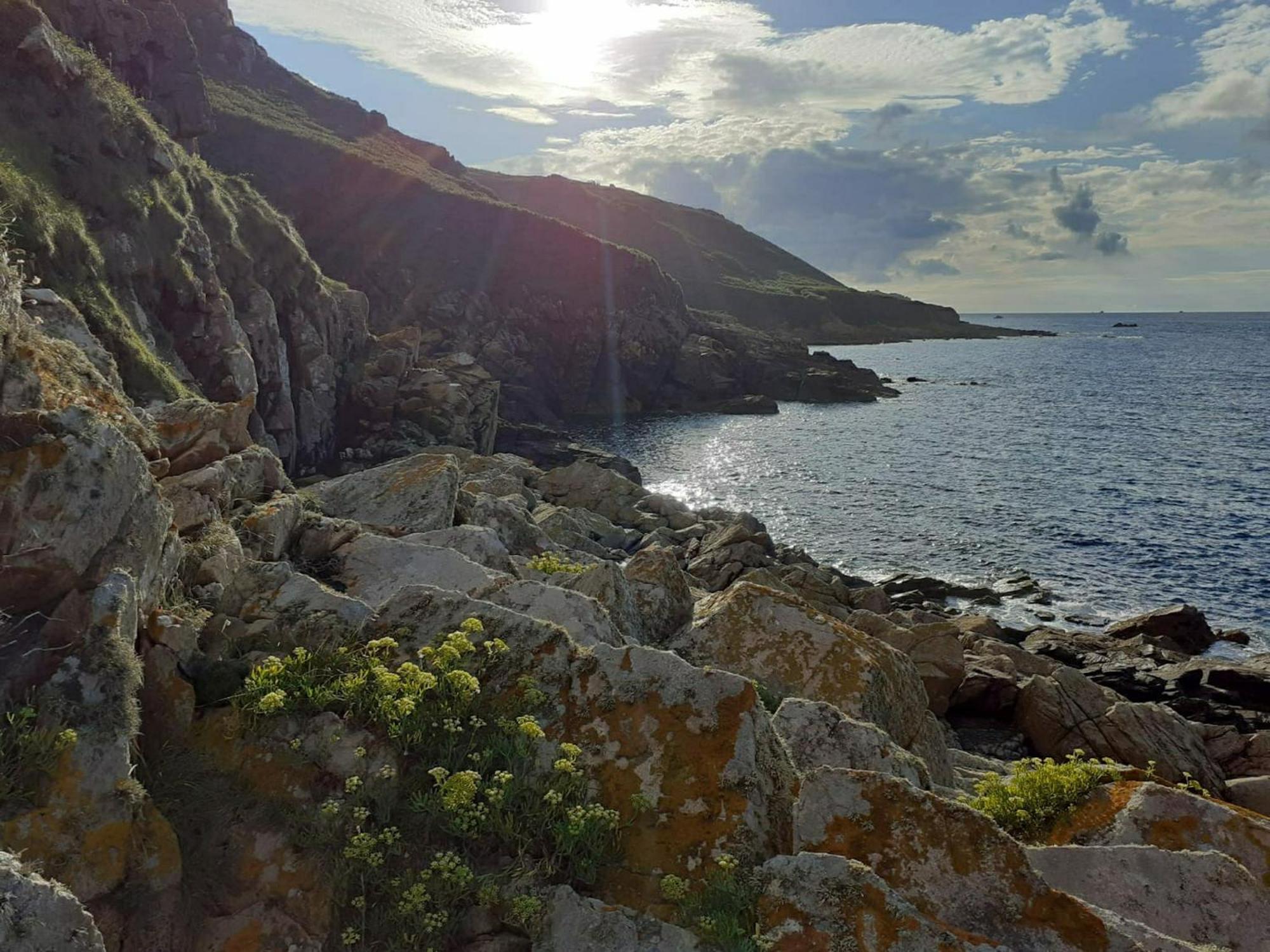 Maison Cosy Vue Mer A Guimaec Dış mekan fotoğraf
