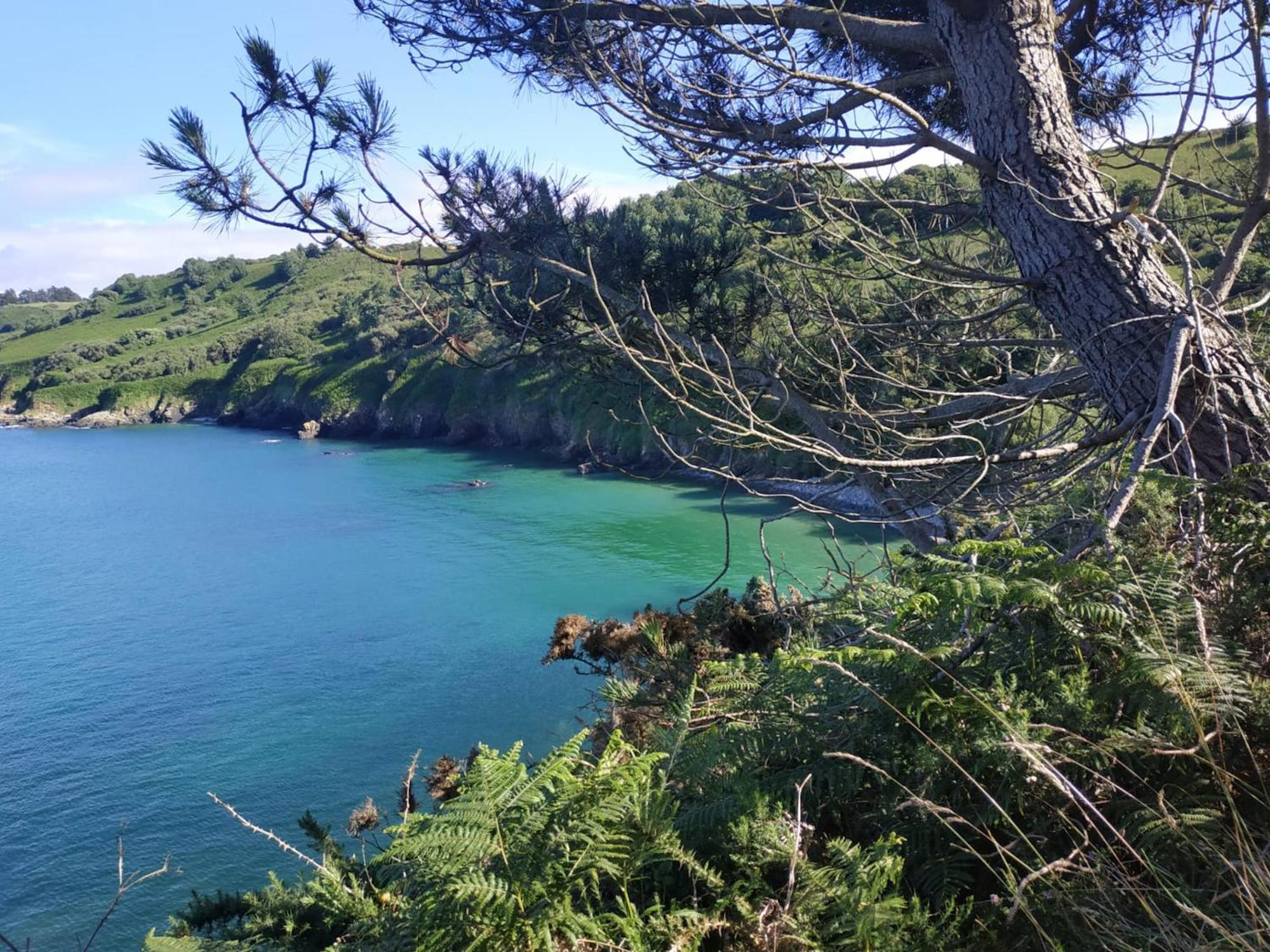 Maison Cosy Vue Mer A Guimaec Dış mekan fotoğraf
